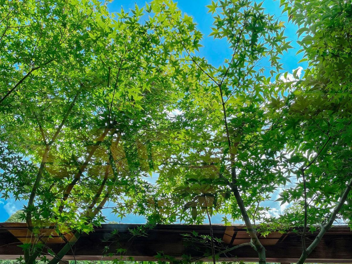 別府温泉 割烹旅館 ゆめさき 別府市 エクステリア 写真